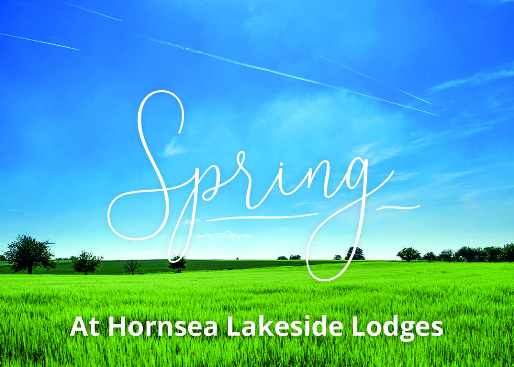 lodge park east yorkshire, holiday lodge east yorkshire, luxury lodges east coast